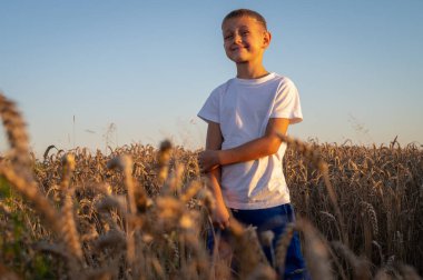Beyaz tişörtlü küçük bir çocuğun portresi, akşam üstü Ukrayna 'da bir buğday tarlasında, Lviv yakınlarında, yazıtlar için bir yer. Batıda huzurlu bir gökyüzü