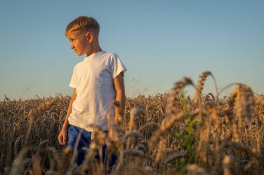 Beyaz tişörtlü küçük bir çocuğun portresi, akşam üstü Ukrayna 'da bir buğday tarlasında, Lviv yakınlarında, yazıtlar için bir yer. Batıda huzurlu bir gökyüzü