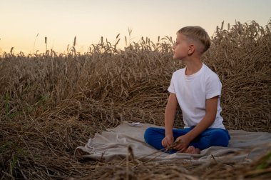 Beyaz gömlekli küçük bir çocuğun portresi, bir buğday tarlasında oturuyor, akşam üstü Ukrayna 'da bir buğday tarlasında, Lviv yakınlarında, yazıtlar için. Batıda huzurlu bir gökyüzü