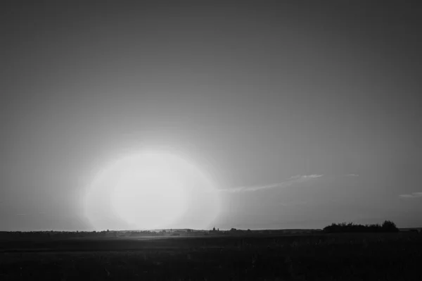 Schwarz Weiß Foto Der Natur Zurückhaltend Abendsonnenuntergang Auf Einem Weizenfeld — Stockfoto