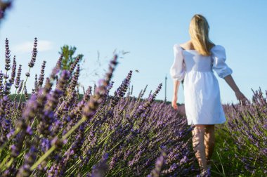 Lviv, Ukrayna yakınlarındaki lavanta tarlaları. Yazın açan lavanta. Beyaz yaz elbiseli bir kız lavanta tarlalarında yürüyor, dikiz aynasından ve lavanta çiçeklerine eliyle dokunuyor. Seçici odak