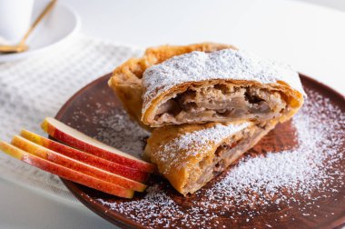 Elma ve tarçınla doldurulmuş lezzetli meyveli turta parçaları hafif bir arka planda hafif bir tabakta. Yazmak için yer var. Manzarayı kapat. Ev yapımı Ukrayna hamur işleri