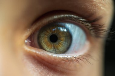 Küçük çocuğun gözü yeşil, yakın görüş.