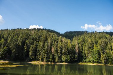 Ukrayna dağlarındaki Synevyr Gölü