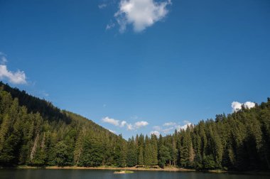 Ukrayna dağlarındaki Synevyr Gölü