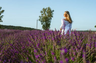 Lviv, Ukrayna yakınlarındaki lavanta tarlaları. Yazın açan lavanta. Beyaz yaz elbiseli bir kız lavanta tarlalarında yürüyor ve elleriyle lavanta çiçeklerine dokunuyor. Seçici odak