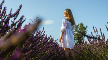 Lviv, Ukrayna yakınlarındaki lavanta tarlaları. Yazın açan lavanta. Beyaz yaz elbiseli bir kız lavanta tarlalarında yürüyor ve elleriyle lavanta çiçeklerine dokunuyor. Seçici odak