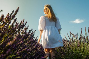 Lviv, Ukrayna yakınlarındaki lavanta tarlaları. Yazın açan lavanta. Beyaz yaz elbiseli bir kız lavanta tarlalarında yürüyor, dikiz aynasından ve lavanta çiçeklerine eliyle dokunuyor. Seçici odak