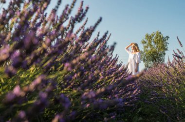 Lviv, Ukrayna yakınlarındaki lavanta tarlaları. Yazın açan lavanta. Beyaz yaz elbiseli bir kız lavanta tarlalarında yürüyor, dikiz aynasından ve lavanta çiçeklerine eliyle dokunuyor. Seçici odak