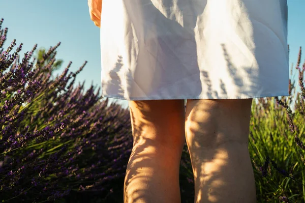 A woman in a white dress walking in a field. Close-up cropped photo of woman\'s legs behind back on lavender field. Sunbeam light rays shine sunburst explosion shiny glare effect glare shine
