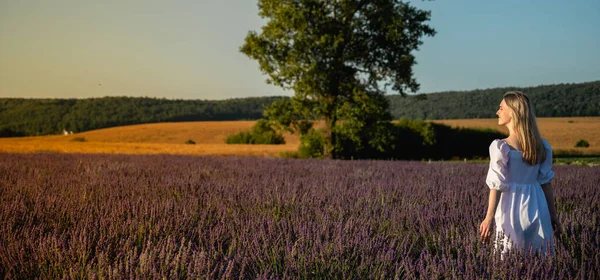 Beyaz yaz elbiseli bir kız lavanta tarlasında yürüyor, sıcak gün batımı, panoramik fotoğraf. Lviv, Ukrayna yakınlarındaki lavanta tarlaları. Yazın açan lavanta. Seçici odak