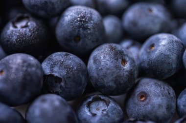 Yabanmersini, yaklaşın. Böğürtlenlere su. Böğürtlen arka planı 