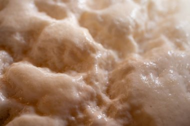 arka plan, hamur mayası, aşılama, fermantasyon süreci