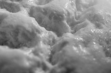 siyah ve beyaz fotoğraf, arkaplan, hamur için maya hamur, aşılama, fermantasyon süreci