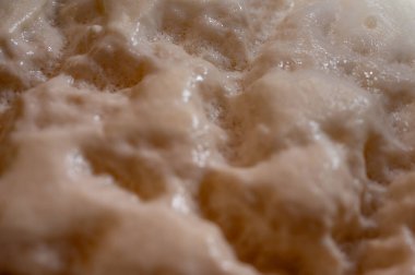 arka plan, hamur mayası, aşılama, fermantasyon süreci