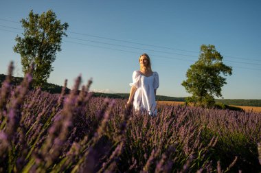 Lviv, Ukrayna yakınlarındaki lavanta tarlaları. Yazın açan lavanta. Beyaz yaz elbisesi içinde bir kızın portresi, gülümseyen lavanta tarlaları, gün batımı. Seçici odak