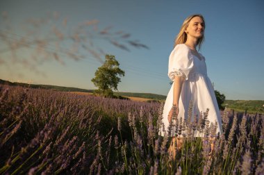 Lviv, Ukrayna yakınlarındaki lavanta tarlaları. Yazın açan lavanta. Beyaz yaz elbisesi içinde bir kızın portresi, gülümseyen lavanta tarlaları, gün batımı. Seçici odak