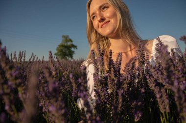 Lviv, Ukrayna yakınlarındaki lavanta tarlaları. Yazın açan lavanta. Beyaz yaz elbisesi içinde bir kızın portresi, gülümseyen lavanta tarlaları, gün batımı. Seçici odak
