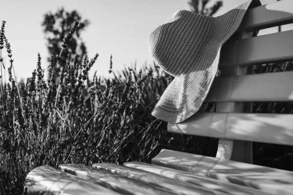 Black and white classic photo. A woman's straw hat lies on a wooden bench, a bouquet of lavender lies on it, the sunset in the rays. Place for writing, background. selective focus
