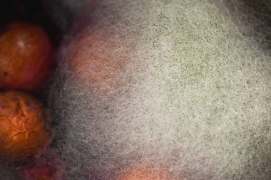 Çürük şeftali, meyve, küf, mantar. Çürük ürün. Bozuk yemek. Çürük böğürtlen Küflü meyveler. Küf mantarı. Kırık çilek yüzeyi. Küflü ürün