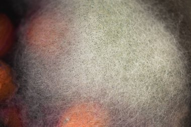 Çürük şeftali, meyve, küf, mantar. Çürük ürün. Bozuk yemek. Çürük böğürtlen Küflü meyveler. Küf mantarı. Kırık çilek yüzeyi. Küflü ürün