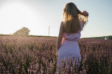  Beyaz yaz elbiseli bir kızın portresi lavanta tarlalarında yürüyor, arkadan bize bakıyor. Lviv, Ukrayna yakınlarındaki lavanta tarlaları. Yazın açan lavanta. Gün batımı. Seçici odak
