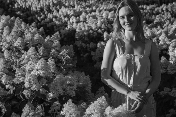 Siyah ve beyaz fotoğraf, beyaz bir bankta oturan, beyaz elbiseli rahat bir genç kızın portresi, temiz hava soluyor, güneşli bir günde lavanta tarlasında oturuyor, başka yere bakıyor, düşünüyor.