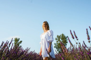 Lviv, Ukrayna yakınlarındaki lavanta tarlaları. Yazın açan lavanta. Beyaz yaz elbiseli bir kız lavanta tarlalarında yürüyor ve elleriyle lavanta çiçeklerine dokunuyor. Seçici odak