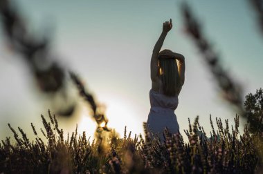 Lavanta tarlasında beyaz bir yaz elbisesi giymiş genç bir kızın portresi. Arkasından bakıyor ve ellerini güneşin tepesine kaldırıyor. Yazın açan lavanta. Gün batımı. Seçici odak