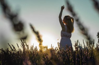 Lavanta tarlasında beyaz bir yaz elbisesi giymiş genç bir kızın portresi. Arkasından bakıyor ve ellerini güneşin tepesine kaldırıyor. Yazın açan lavanta. Gün batımı. Seçici odak