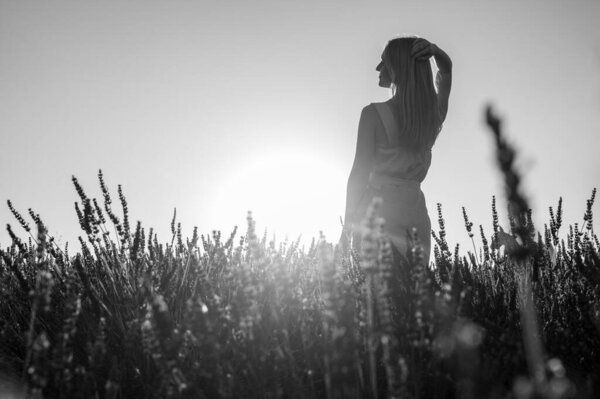 Black and white photo. Portrait of a young girl in a white summer dress walking through lavender fields, looking from behind. Lavender fields near Lviv, Ukraine. Sunset. Selective focus