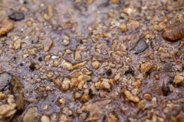 Pislik, kir, sudan ölçek, kazan temizliği, kirli su ve kazan tahribatı. Yakın görünüm, arkaplan