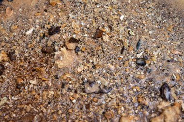 Pislik, kir, sudan ölçek, kazan temizliği, kirli su ve kazan tahribatı. Yakın görünüm, arkaplan