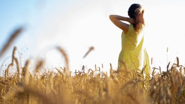 Sırtında sarı bir elbiseyle buğday tarlasında duran güzel bir genç kız, Ukrayna 'nın doğası, alanı ve yazmak için uygun bir yer.