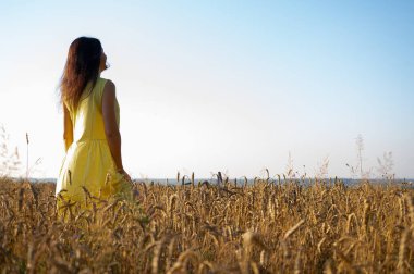Sırtında sarı bir elbiseyle buğday tarlasında duran güzel bir genç kız, Ukrayna 'nın doğası, alanı ve yazmak için uygun bir yer.