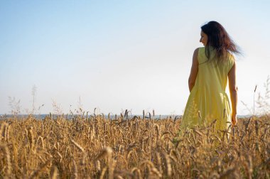 Sırtında sarı bir elbiseyle buğday tarlasında duran güzel bir genç kız, Ukrayna 'nın doğası, alanı ve yazmak için uygun bir yer.