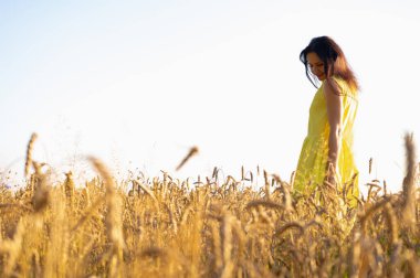 Buğday tarlasında güzel, genç, duygusal bir kız, batan güneşin ışınlarında sarı bir elbise içinde, gün batımı, gülümseme, tarlalar ve Ukrayna 'nın doğası.