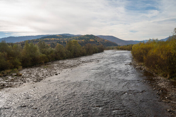 горная река в золотых осенних тонах, природа Украины