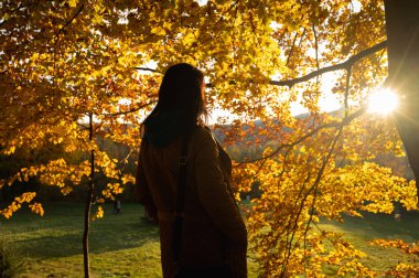 Düşünceli bir kadının portresi, yumuşak sonbahar güneşi altında altın yapraklarla çevrili bir kız. Sıcak ve açık hava manzarası sonbahar mevsiminin neşe ve güzelliğini yansıtıyor.