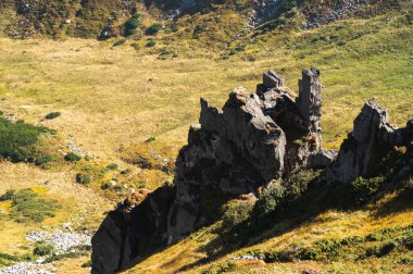 Yeşil bitki örtüsü ve kayalık dokularla kaplı yumuşak güneş ışığıyla yıkanmış dağ yamaçlarının manzarası. Yüksek rakımlı arazinin engebeli güzelliğini gösteren huzurlu bir doğal manzara.