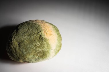 Küfle kaplı çürük bir limonun yakın plan görüntüsü. Yeşil ve beyaz mantarlı çürük narenciye meyvesi besin atıklarını, çürümeyi ve doğal organik süreçleri sembolize eder.