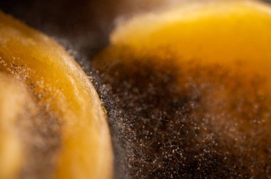 Bozuk ürün, meyve, küf, mantar gibi yakın plan görüntüler. Çürük ürün. Bozuk yemek. Çürük böğürtlen Küflü meyveler. Küf mantarı. Kırık çilek yüzeyi. Küflü ürün.