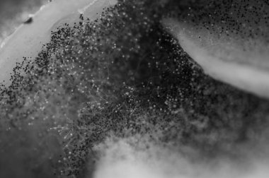 siyah ve beyaz, bozulmuş ürün, meyve, küf mantarı yakın plan. Çürük ürün. Bozuk yemek. Çürük böğürtlen Küflü meyveler. Küf mantarı. Küflü ürün.