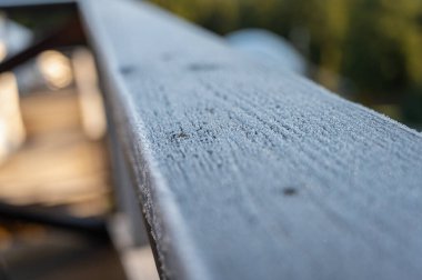 Güneş ışığı ve yumuşak arka plan bulanıklığı ile sabah çiğ ile kaplı ahşap korkuluklara yakın çekim. Doğa, doku, tazelik ve odaklanma temaları için mükemmel bir görüntü.