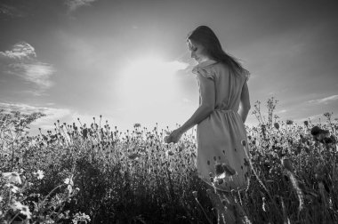 Doğayla nazikçe bağ kuran bir kadının, güneşli bir tarlada haşhaş tomurcuklarına dokunuşunun sanatsal siyah beyaz fotoğrafı. Şefkat ve uyum kavramı