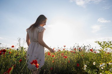 Güneşli bir haşhaş tarlasında yürüyen bir kadının ufka doğru bakışının arkası. Özgürlük kavramı, yeni başlangıçlar ve geleceğe bakmak.