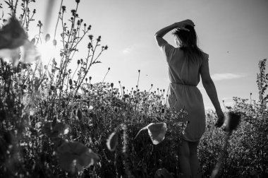 Vahşi çiçeklerin olduğu bir tarlada dingin bir kadın uçsuz bucaksız gökyüzünün altında doğanın güzelliğini kucaklıyor. Özgürlük, sükunet ve yaz temaları için mükemmel.