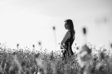 Huzurlu bir kadın, gün batımında çiçek açan bir kır çiçeğinin bahçesinde huzurlu bir anın tadını çıkarıyor. Özgürlüğü ve doğal güzelliği çağrıştırıyor. Yaşam tarzı, doğa ve rahatlama temaları için mükemmel.