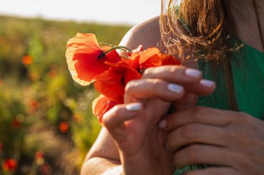 Bir kadın güneş ışığında canlı kırmızı gelincikleri nazikçe tutarak doğal güzelliği, şefkati ve doğayla bağlantıyı vurguluyor. Bahar, yaz ve kır çiçekleri temaları için mükemmel.