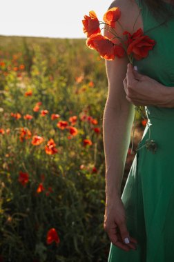 Bir kadın güneş ışığında canlı kırmızı gelincikleri nazikçe tutarak doğal güzelliği, şefkati ve doğayla bağlantıyı vurguluyor. Bahar, yaz ve kır çiçekleri temaları için mükemmel.